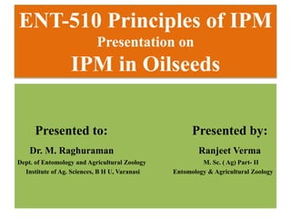 ENT-510 Principles of IPM
Presentation on
IPM in Oilseeds
Presented to: Presented by:
Dr. M. Raghuraman Ranjeet Verma
Dept. of Entomology and Agricultural Zoology M. Sc. ( Ag) Part- II
Institute of Ag. Sciences, B H U, Varanasi Entomology & Agricultural Zoology
 