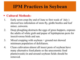 IPM Practices in Soybean
 Cultural Methods-
1. Early sown crop (by end of June to first week of July )
showed less infestation of stem fly, girdle beetles and leaf
miner, cutworm.
2. Deep ploughing destructs the eggs of grass hoppers, exposes
the adults of white grub and pupae of lepidopteran pests for
insectivorous birds and sun.
3. Mixed cropping with soybean + ground nut showed
minimum population of defoliators.
4. Clean cultivation almost all insect pests of soybean have
many alternative food plants so the uneconomic food
plants(weeds) in and around soybean fields should be
removed.
 