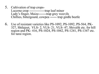 5. Cultivation of trap crops-
Lucerne crop --------------trap leaf miner
Lady’s finger, Maize-------trap grey weevils
Chillies, bittergourd, cowpea ------ trap girdle beetle
6. Use of resistant varieties like PS-1092, PS-1092, PS-564, PK-
327, Shilajeet, VLS- 2, VLS- 21, VLS- 47, Shivalik etc. for hill
region and PK- 416, PS-1024, PS-1042, PS-1241, PS-1347 etc.
for tarai region.
 