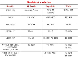 Resistant varieties
Stemfly G. Beetle Lep. defo. YMV
UGM – 52, Improved Pelican JS-72-44
(Gaurav)
UPSM-534
J-323 P K – 262 MACS-100 PK- 416
VHC- 3067 NRS- 53 PK- 672 PS-564
UPSM-1123 TS-9912, VL- 7 PS -1024
UPSM-349, SL-428 PS-1225, PS- 1251 PS-1042
WT-47, J- 323, UPSL-
2773, UPSL-586,
UGM-52, NRC-37
TS- 1284 TS- 93-05 PS- 1029
PS- 1092
JS(SH)-94-23, DSb-5,
TS-2000-2001
JS (SH)- 94-21 PS- 1241
PS-1347
 