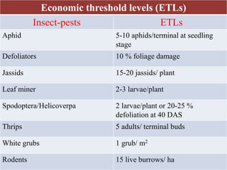 Economic threshold levels (ETLs)
Insect-pests ETLs
Aphid 5-10 aphids/terminal at seedling
stage
Defoliators 10 % foliage damage
Jassids 15-20 jassids/ plant
Leaf miner 2-3 larvae/plant
Spodoptera/Helicoverpa 2 larvae/plant or 20-25 %
defoliation at 40 DAS
Thrips 5 adults/ terminal buds
White grubs 1 grub/ m2
Rodents 15 live burrows/ ha
 