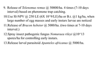 9. Release of Telenomus remus @ 50000/ha. 4 times (7-10 days
interval) based on pheromone trap catching.
10.Use Sl-NPV @ 250 LE (6X 10^9/LE)/ha or B.t. @1 kg/ha, when
large number of egg masses and early instars larvae are noticed
11.Release of Bracon hebetor @ 5000/ha. (two times at 7-10 days
interval.)
12.Spray insect pathogenic fungus Nomuraea rileyi @10^13
spores/ha for controlling early instars.
13.Release larval parasitoid Apanteles africanus @ 5000/ha.
 
