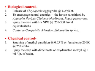  Biological control-
1. Release of Chrysoperla eggs/grubs @ 1-2/plant.
2. To encourage natural enemies – the larvae parasitized by
Apanteles flavipes Chelonus blackburni, Rogas percurrens.
3. Spray the crop with Ha NPV @ 250-300 larval
equivalents/ha
4. Conserve Campoletis chloridae, Enicospilus sp, etc.
 Chemical control-
1. Spraying of methyl parathion @ 0.05 % or fenvalerate 20 EC
@ 250 ml/ha.
2. Spray the crop with dimethoate or oxydemeton methyl @ 1
ml / lit. of water.
 