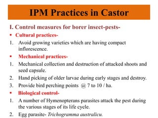 IPM Practices in Castor
I. Control measures for borer insect-pests-
 Cultural practices-
1. Avoid growing varieties which are having compact
inflorescence.
 Mechanical practices-
1. Mechanical collection and destruction of attacked shoots and
seed capsule.
2. Hand picking of older larvae during early stages and destroy.
3. Provide bird perching points @ 7 to 10 / ha.
 Biological control-
1. A number of Hymenopterans parasites attack the pest during
the various stages of its life cycle.
2. Egg parasite- Trichogramma australicu.
 