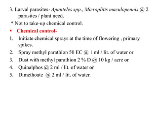 3. Larval parasites- Apanteles spp., Microplitis maculopennis @ 2
parasites / plant need.
* Not to take-up chemical control.
 Chemical control-
1. Initiate chemical sprays at the time of flowering , primary
spikes.
2. Spray methyl parathion 50 EC @ 1 ml / lit. of water or
3. Dust with methyl parathion 2 % D @ 10 kg / acre or
4. Quinalphos @ 2 ml / lit. of water or
5. Dimethoate @ 2 ml / lit. of water.
 