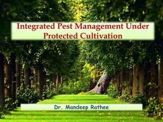 Integrated Pest Management Under
Protected Cultivation
Dr. Mandeep Rathee
 