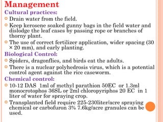 Management
Cultural practices:
 Drain water from the field.
 Keep kerosene soaked gunny bags in the field water and
  dislodge the leaf cases by passing rope or branches of
  thorny plant.
 The use of correct fertilizer application, wider spacing (30
  × 20 mm), and early planting.
Biological Control:
 Spiders, dragonflies, and birds eat the adults.
 There is a nuclear polyhedrosis virus, which is a potential
  control agent against the rice caseworm.
Chemical control:
 10-12 DAS  1ml of methyl parathion 50EC or 1.3ml
  monocrotophos 36SL or 2ml chloropyriphos 20 EC in 1
  liter of water for spraying crop.
 Transplanted field require 225-230liter/acre spraying
  chemical or carbofuron 3% 7.6kg/acre granules can be
  used.
 
