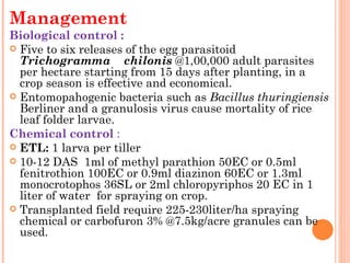Management
Biological control :
 Five to six releases of the egg parasitoid
  Trichogramma    chilonis @1,00,000 adult parasites
  per hectare starting from 15 days after planting, in a
  crop season is effective and economical.
 Entomopahogenic bacteria such as Bacillus thuringiensis
  Berliner and a granulosis virus cause mortality of rice
  leaf folder larvae.
Chemical control :
 ETL: 1 larva per tiller
 10-12 DAS  1ml of methyl parathion 50EC or 0.5ml
  fenitrothion 100EC or 0.9ml diazinon 60EC or 1.3ml
  monocrotophos 36SL or 2ml chloropyriphos 20 EC in 1
  liter of water  for spraying on crop.
 Transplanted field require 225-230liter/ha spraying
  chemical or carbofuron 3% @7.5kg/acre granules can be
  used.
 