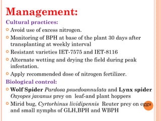 Management:
Cultural practices:
 Avoid use of excess nitrogen.

 Monitoring of BPH at base of the plant 30 days after
  transplanting at weekly interval
 Resistant varieties IET-7575 and IET-8116

 Alternate wetting and drying the field during peak
  infestation.
 Apply recommended dose of nitrogen fertilizer.

Biological control:
 Wolf Spider Pardosa psuedoannulata and Lynx spider
  Oxyopes javanus prey on  leaf-and plant hoppers
 Mirid bug, Cyrtorhinus lividipennis  Reuter prey on eggs
  and small nymphs of GLH,BPH and WBPH
 