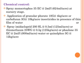Chemical control:
 Spray monocrtophos 35 EC @ 2ml/l (624ml/acre) at
  nursery stage.
 Application of granular phorate 10G@ 4kg/acre or
  carbofuran 3G@ 10kg/acre insecticides in presence of thin
  film of water                                                                   or
 Spray imidacloprid 200 SL @ 0.5ml (125ml/acre) or
  thiomethaxm 25WG @ 0.5g (125kg/acre) or phaslone 35
  EC @ 2ml/l (800ml/acre) water or quinolphos 5G @
  12kg/acre
 