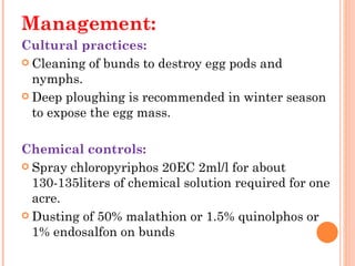 Management:   
Cultural practices:
 Cleaning of bunds to destroy egg pods and
  nymphs.
 Deep ploughing is recommended in winter season
  to expose the egg mass.
 
Chemical controls:
 Spray chloropyriphos 20EC 2ml/l for about
  130-135liters of chemical solution required for one
  acre.
 Dusting of 50% malathion or 1.5% quinolphos or
  1% endosalfon on bunds
 