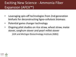 ILRI program outline: Feed and Forage Development  