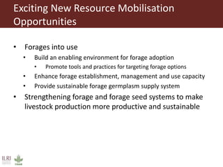 ILRI program outline: Feed and Forage Development  