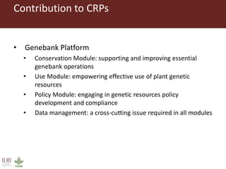 ILRI program outline: Feed and Forage Development  