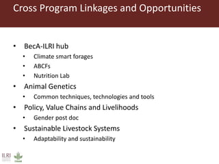 ILRI program outline: Feed and Forage Development  