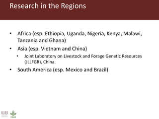 ILRI program outline: Feed and Forage Development  