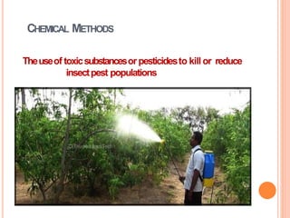 CHEMICAL METHODS
Theuseof toxicsubstancesor pesticidesto kill or reduce
insectpest populations
 