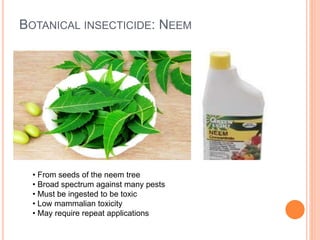 BOTANICAL INSECTICIDE: NEEM
• From seeds of the neem tree
• Broad spectrum against many pests
• Must be ingested to be toxic
• Low mammalian toxicity
• May require repeat applications
 