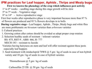IPM practices for Leaf hopper, Aphids , Thrips and Mealy bugs
First we known the phenology of the crop which influences pest activity
1st
to 4th
weeks - seedling stage during this stage growth will be slow
5th
to 7th
week – Vegetative stage
8th
to 14th
- Active reproductive stage
First four weeks after reproductive phase is very important because more than 87 %
of flowers are produced and 95 % flowers develops in to bolls
During vegetative stage - Leaf hopper, Aphids , Thrips ,Mealy bugs and white flies
are more problematic on hirsutum varieties than arboreum varieties
I. Cultural practices
1. Growing cotton after cotton should be avoided so adopt proper crop rotation
2. Selection healthy seeds of resistant / tolerant varieties
RS- 875, RST-9 , ABH- 466, H- 777
MECH-183 – resistant to Jassids
Varieties having hairyness on stem and leaf will offer resistant against these pests
especially leaf hoppers
3. Seed treatment with imidacloprid 70WS @ 5 gm / kg of seeds in case of non hybrid
variety and 10 gm / kg of seeds in case of hybrid varieties
or
Thiomethoxam @ 5 gm / kg of seeds
or
Carbosulfan 25 DS @ 50 gm / kg of seeds
 