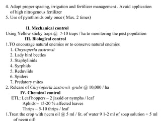 4. Adopt proper spacing, irrigation and fertilizer management . Avoid application
of high nitrogenous fertilizer
5. Use of pyrethroids only once ( Max. 2 times)
II. Mechanical control
Using Yellow sticky traps @ 7-10 traps / ha to monitoring the pest population
III. Biological control
1.TO encourage natural enemies or to conserve natural enemies
1. Chrysoperla zastrowii
2. Lady bird beetles
3. Staphylinids
4. Syrphids
5. Reduviids
6. Spiders
7. Predatory mites
2. Release of Chrysoperla zastrowii grubs @ 10,000 / ha
IV. Chemical control
ETL: Leaf hoppers – 2 jassid or nymphs / leaf
Aphids – 15-20 % affected leaves
Thrips – 5-10 thrips / leaf
1.Treat the crop with neem oil @ 5 ml / lit. of water 9 1-2 ml of soap solution + 5 ml
of neem oil)
 