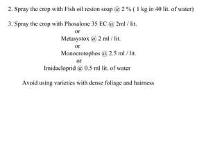 2. Spray the crop with Fish oil resion soap @ 2 % ( 1 kg in 40 lit. of water)
3. Spray the crop with Phosalone 35 EC @ 2ml / lit.
or
Metasystox @ 2 ml / lit.
or
Monocrotophos @ 2.5 ml / lit.
or
Imidacloprid @ 0.5 ml lit. of water
Avoid using varieties with dense foliage and hairness
 
