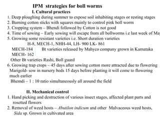 IPM strategies for boll worms
I. Cultural practices
1. Deep ploughing during summer to expose soil inhabiting stages or resting stages
2. Burning cotton sticks with squares mainly to control pink boll worm
3. Cropping system – Bhendi followed by Cotton is not good
4. Time of sowing – Early sowing will escape from all bollworms i.e last week of May
5. Growing some resistant varieties i.e. Short duration varieties
H-8, MECH-1, NHH-44, LH- 900 LK- 861
MECH-184 Bt varieties released by Mahyco company grown in Karnataka
MECH- 162
Other Bt varieties Rashi, Boll guard
6. Growing trap crops – 45 days after sowing cotton more attracted due to flowering
Marigold- sow in nursery beds 15 days before planting it will come to flowering
much earlier
Bhemdi – 1 : 10 ratio simultaneously all around the field
II. Mechanical control
1. Hand picking and destruction of various insect stages, affected plant parts and
rosetted flowers
2. Removal of weed hosts – Abutilon indicum and other Malvaceous weed hosts,
Sida sp. Grown in cultivated area
 