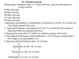 IV. Chemical control
During square formation stage i.e. 55 days old crop , spraying takes places in
15 days interval
70 days old crop
85 days old crop
100 days old crop
115 days old crop
130 days old crop
1.Spraying Cypermethrin or decamethrin or fenvalerate @ 0.5ml / lit. of water for
the control spotted boll worm
2. Spraying Fevalerate or permethrin @ 0.5ml / lit. of water for the control of
American bollworm and pink bollworm
3. Spraying the crop with 5 % NSKE also effective against boll worms
4. Neem based formulations with pyrethroids i.e. 4.5 to 9.0 gm of azadirachtin +
45 to 60gm ai of cypermethrin / ha.
5. Spraying carbaryl 50wdp @ 4gm / lit. of water
or
Quinalphos @ 2ml / lit. of water
or
Phosalone @ 2ml / lit. of water
or
Profenophos @ 2 ml / lit. of water
 