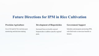 Integrated Pest Management(IPM) on Rice.pptx