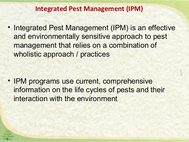 Integrated Pest management in rice base cropping system