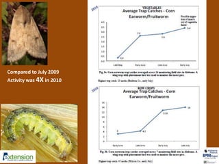 Compared to July 2009 
Activity was 4X in 2010 
 