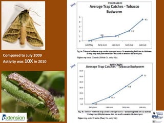 Compared to July 2009 
Activity was 10X in 2010 
 