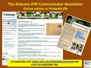 The Alabama IPM Communicator Newsletter 
Online edition or Printable file 
TO SUBSCRIBE VISIT WWW.ACES.EDU/IPMCOMMUNICATOR AND 
CLICK ON SUBSCRIBE TAB. 
 