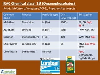 Common 
name 
Product Pesticide type Oral 
LD50 (mg/kg) 
Best against 
Malathion Malathion In (Co) 1000+ FB, CB, SqB, 
SB?? 
Acephate Orthene In (Sys) 800+ FAW, Aph, Thr 
Diazinon Diazinon (RUP) I (Co) 400 WW, MGT, SqB 
Chlorpyrifos Lorsban 15G In (Co) 95 MGT, CW, WW, 
FAW 
Dimethoate Dimethoate IN (Sys) Aph, 
leafhoppers, 
psyllids, thrips 
IRAC Chemical class: 1B (Organophosphates) 
MoA: inhibitor of enzyme (AChE), hyperexcites insects 
 