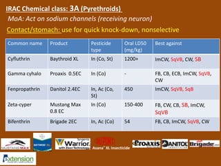 IRAC Chemical class: 3A (Pyrethroids) 
MoA: Act on sodium channels (receiving neuron) 
Contact/stomach: use for quick knock-down, nonselective 
Common name Product Pesticide 
type 
Oral LD50 
(mg/kg) 
Best against 
Cyfluthrin Baythroid XL In (Co, St) 1200+ ImCW, SqVB, CW, SB 
Gamma cyhalo Proaxis 0.5EC In (Co) - FB, CB, ECB, ImCW, SqVB, 
CW 
Fenpropathrin Danitol 2.4EC In, Ac (Co, 
St) 
450 ImCW, SqVB, SqB 
Zeta-cyper Mustang Max 
0.8 EC 
In (Co) 150-400 FB, CW, CB, SB, ImCW, 
SqVB 
Bifenthrin Brigade 2EC In, Ac (Co) 54 FB, CB, ImCW, SqVB, CW 
Asana® XL insecticide 
 