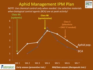 Aphid Management IPM Plan 
NOTE: Use chemical control only when needed. Use selective materials 
when biological control agents (BCA) are at peak activity! 
6 
5 
4 
3 
2 
1 
0 
Class 4A 
(systemic) 
Aphid pop. 
Wk 1 Wk 2 Wk 3 Wk 4 Wk 5 Wk 6 Wk 7 
Early season (preventive tret.) 
Mid/late-season (therapeutic tret.) 
Class 9B 
(pymetrozine) 
Class 3 
(bifenthrin 
– ONLY if needed) 
BCA 
 