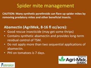 Spider mite management 
CAUTION: Many synthetic pyrethroids can flare up spider mites by 
removing predatory mites and other beneficial insects. 
Abamectin (AgriMek, 8-16 fl oz/acre): 
• Good rescue insecticide (may get some thrips) 
• Contains synthetic abamectin and provides long-term 
residual control of TSM. 
• Do not apply more than two sequential applications of 
abamectin. 
• PHI on tomatoes is 7 days. 
 