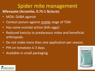 Spider mite management 
Bifenazate (Acramite, 0.75-1 lb/acre): 
• MOA: GABA agonist 
• Contact poison against motile stage of TSM 
• Has some ovicidal action (kills eggs) 
• Reduced toxicity to predaceous mites and beneficial 
arthropods. 
• Do not make more than one application per season. 
• PHI on tomatoes is 3 days. 
• Available in small packaging. 
 