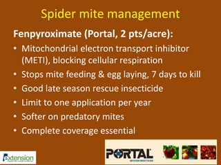 Spider mite management 
Fenpyroximate (Portal, 2 pts/acre): 
• Mitochondrial electron transport inhibitor 
(METI), blocking cellular respiration 
• Stops mite feeding & egg laying, 7 days to kill 
• Good late season rescue insecticide 
• Limit to one application per year 
• Softer on predatory mites 
• Complete coverage essential 
 