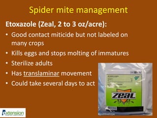 Spider mite management 
Etoxazole (Zeal, 2 to 3 oz/acre): 
• Good contact miticide but not labeled on 
many crops 
• Kills eggs and stops molting of immatures 
• Sterilize adults 
• Has translaminar movement 
• Could take several days to act 
 