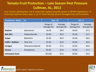 Tomato Fruit Protection – Late Season Pest Pressure 
Cullman, AL, 2012 
Crop: Tomato, planting date: July 9, insecticides applied using C02 sprayer at 40 GPA. Replications = 4. 
Insecticide treatment dates: Sept. 6, 14, 21. Data indicates percent damaged fruits (10 fruits/plot). 
Treatments (lb/A) AI Sept. 24 Oct. 4 
Range of 
damage (%) 
Average 
damage (%) 
Range of 
damage (%) 
Average 
damage (%) 
Radiant Spinetoram 10-50 30.0 30-50 37.5 
Belt (#1) Flubendiamide 10-40 20.0 10-30 22.5 
Sniper Bifenthrin 20-40 30.0 10-40 30.0 
Fulfill + Radiant Tank-mix 10-50 35.0 20-60 30.0 
Coragen Chlorantraniliprole 20-40 27.5 10-50 30.0 
Venom Dinotefuran 30-40 35.0 10-30 17.5 
Untreated check 90-100 95.0 40-80 55.0 
*OMRI-approved for organic vegetable production 
 