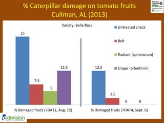 % Caterpillar damage on tomato fruits 
Cullman, AL (2013) 
25 
12.5 
7.5 
2.5 
5 
Untreated check 
Radiant (spinetoram) 
Sniper (bifenthrin) 
0 
Variety: Bella Rosa 
12.5 
0 
Belt 
% damaged fruits (7DAT2, Aug. 15) % damaged fruits (7DAT4, Sept. 6) 
 