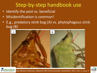 Step-by-step handbook use 
• Identify the pest vs. beneficial 
• Misidentification is common! 
• E.g., predatory stink bug (A) vs. phytophagous stink 
bug (B) 
Source: Clement Akotsen-Mensah, Alabama IPM Communicator newsletter, 2011, Vol. 2, Issue 3 
 