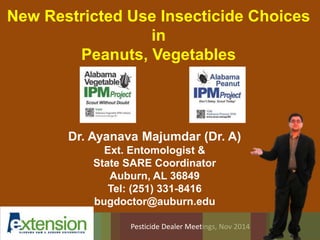New Restricted Use Insecticide Choices 
in 
Peanuts, Vegetables 
Dr. Ayanava Majumdar (Dr. A) 
Ext. Entomologist & 
State SARE Coordinator 
Auburn, AL 36849 
Tel: (251) 331-8416 
bugdoctor@auburn.edu 
Pesticide Dealer Meetings, Nov 2014 
 