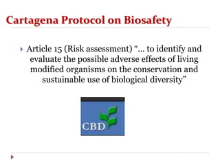 Cartagena Protocol on Biosafety
 Article 15 (Risk assessment) “… to identify and
evaluate the possible adverse effects of living
modified organisms on the conservation and
sustainable use of biological diversity”
 