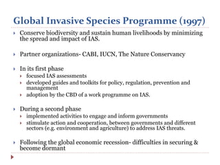 Global Invasive Species Programme (1997)
 Conserve biodiversity and sustain human livelihoods by minimizing
the spread and impact of IAS.
 Partner organizations- CABI, IUCN, The Nature Conservancy
 In its first phase
 focused IAS assessments
 developed guides and toolkits for policy, regulation, prevention and
management
 adoption by the CBD of a work programme on IAS.
 During a second phase
 implemented activities to engage and inform governments
 stimulate action and cooperation, between governments and different
sectors (e.g. environment and agriculture) to address IAS threats.
 Following the global economic recession- difficulties in securing &
become dormant
 