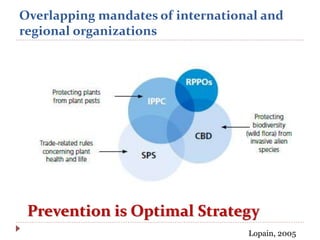 Overlapping mandates of international and
regional organizations
Lopain, 2005
Prevention is Optimal Strategy
 
