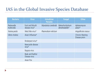 IAS in the Global Invasive Species Database
 
