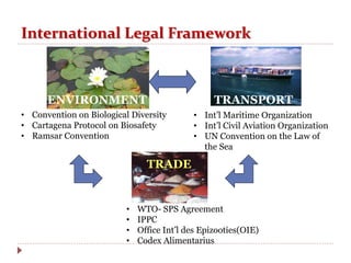 International Legal Framework
TRADE
• Int’l Maritime Organization
• Int’l Civil Aviation Organization
• UN Convention on the Law of
the Sea
• Convention on Biological Diversity
• Cartagena Protocol on Biosafety
• Ramsar Convention
ENVIRONMENT TRANSPORT
• WTO- SPS Agreement
• IPPC
• Office Int’l des Epizooties(OIE)
• Codex Alimentarius
 