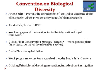Convention on Biological
Diversity
 Article 8(h) – Prevent the introduction of, control or eradicate those
alien species which threaten ecosystems, habitats or species
 Joint work plan with IPPC
 Work on gaps and inconsistencies in the international legal
framework
 Global Plant Conservation Strategy (Target X – management plans
for at least 100 major invasive alien species)
 Global Taxonomy Initiative
 Work programmes on forests, agriculture, dry lands, inland waters
 Guiding Principles addressing prevention, introduction & mitigation
 