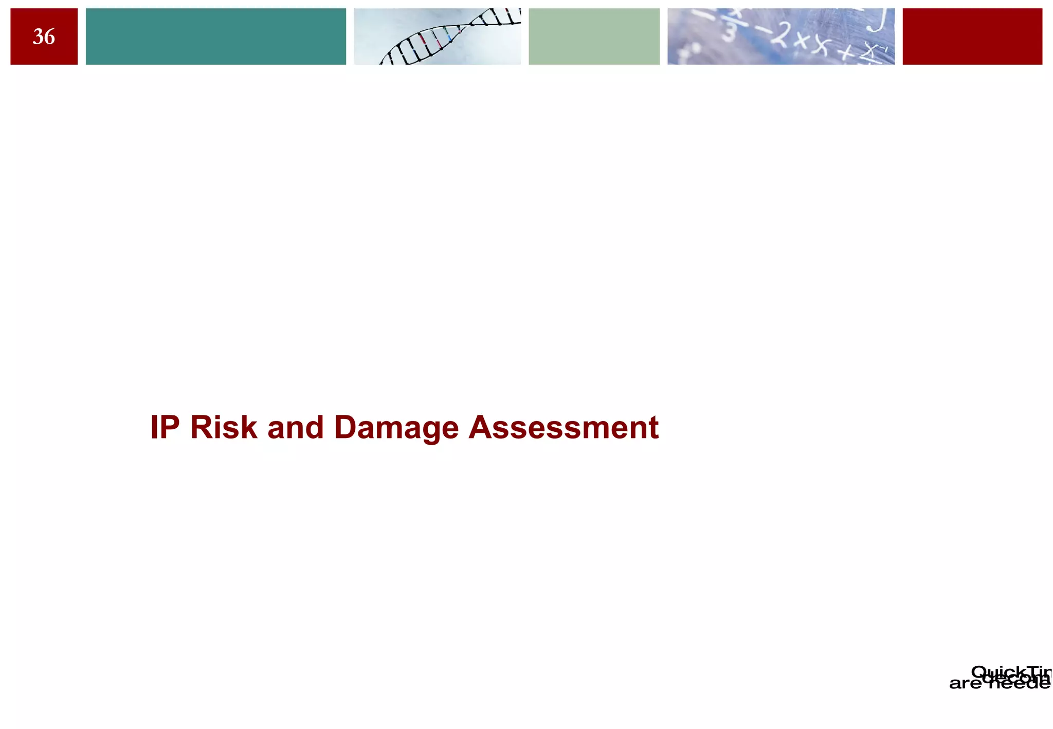IP Risk and Damage Assessment 